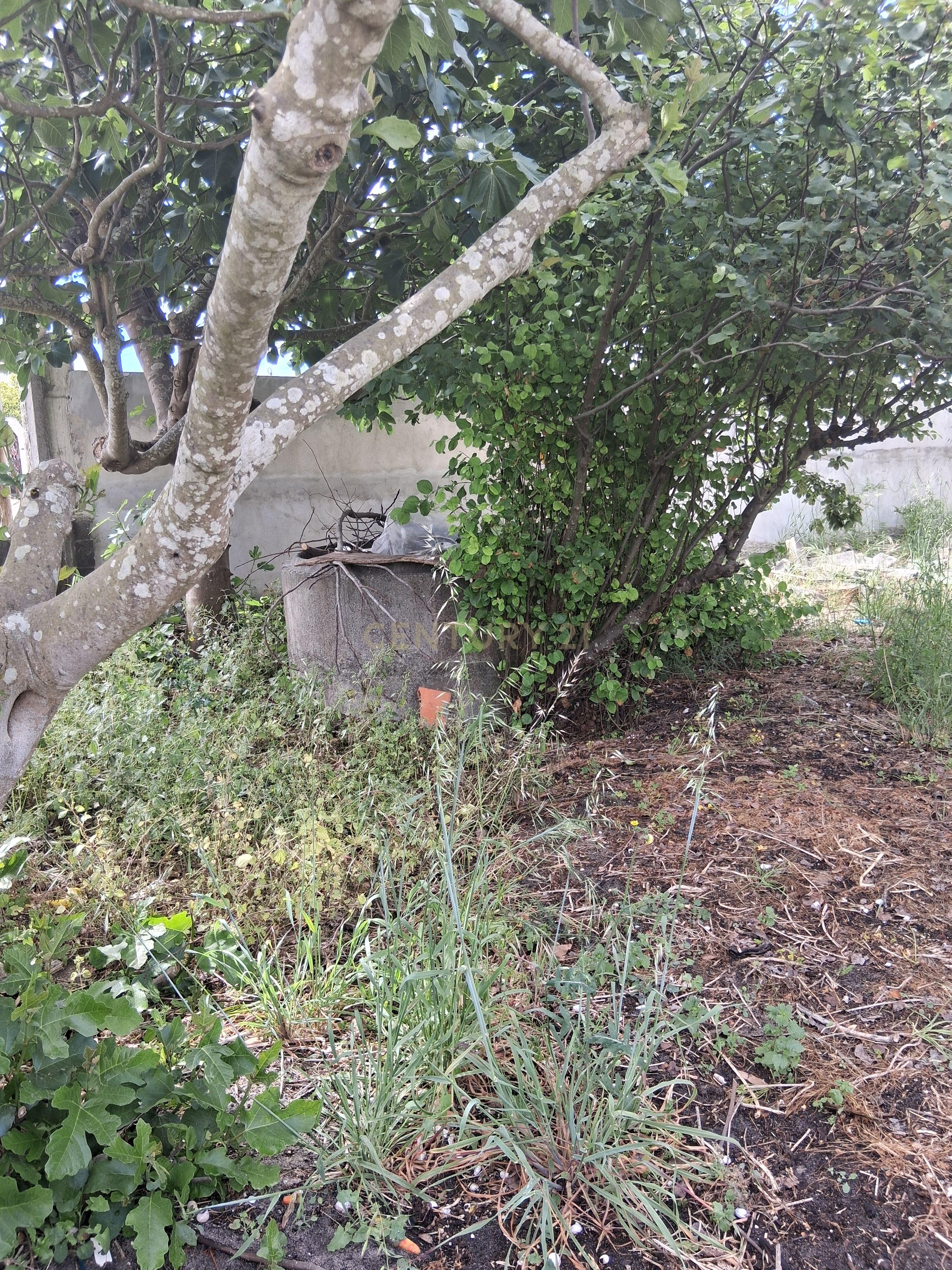 Fotografia 10 de Terreno urbano em gaveto na rua Fernão  Magalhães, Pinhal do General.