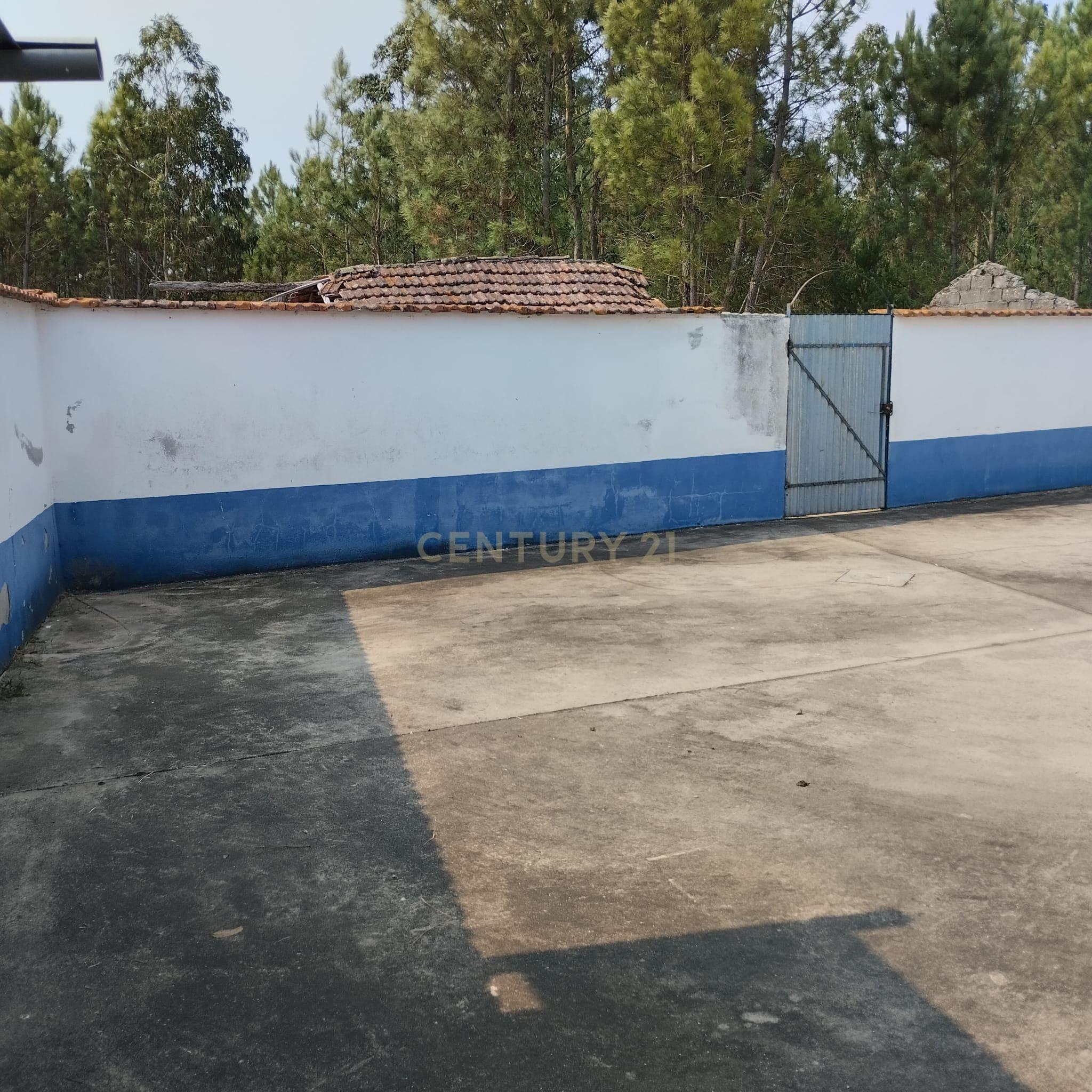 Moradia em Meires, Pelariga Pombal - Image 28