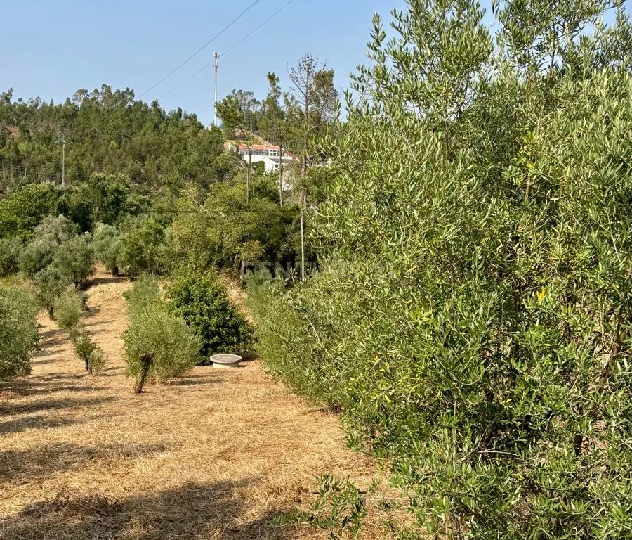 Terreno - Excelente Localização - 2180m2 - Arrabal, Leiria - Image 12
