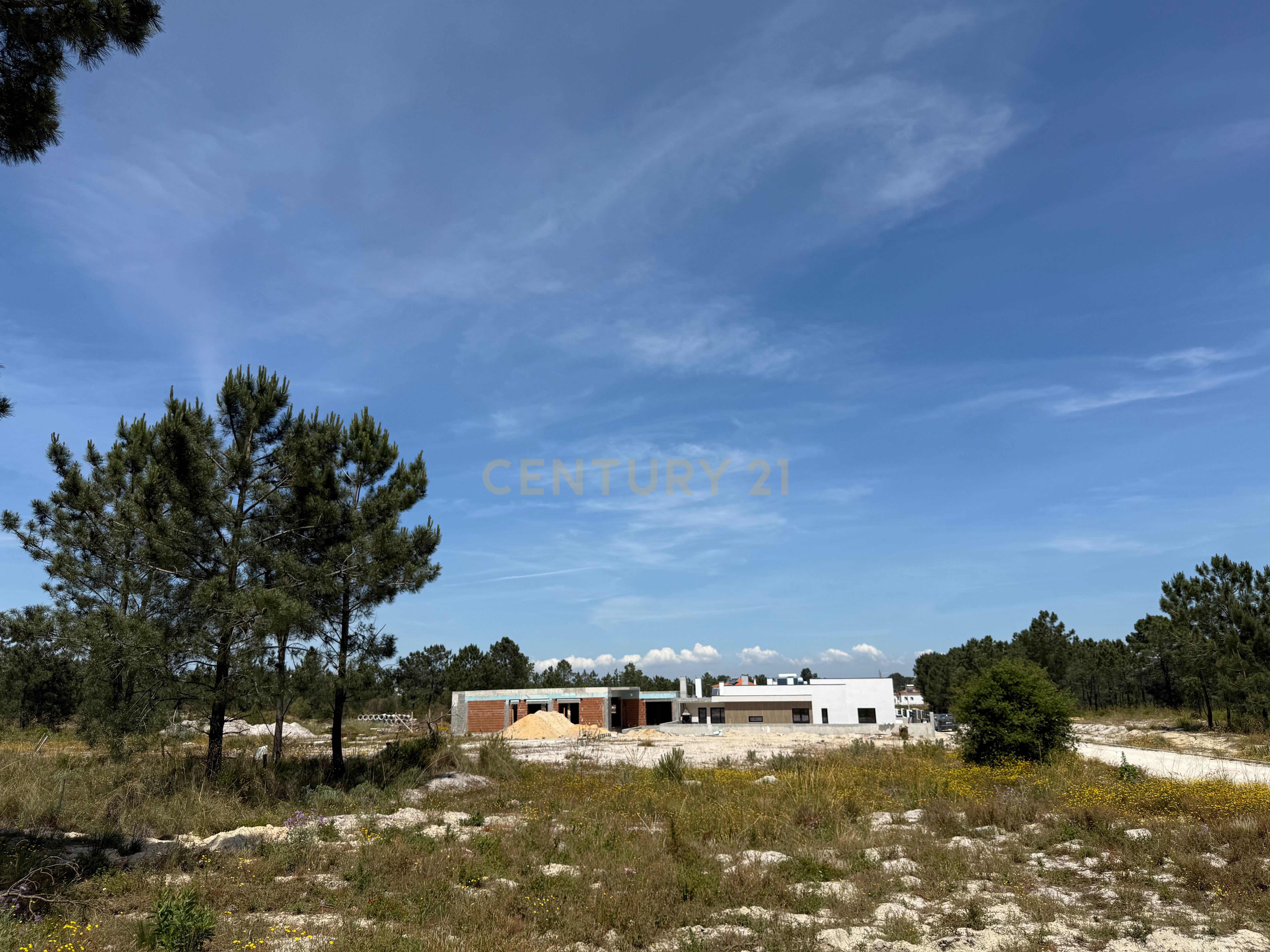 Terreno Urbano em Pinhal General - Oportunidade Única  - Image 11