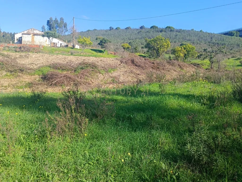 Terreno Misto com 3,66HA - Perna Seca - S. B. Messines - Image 34