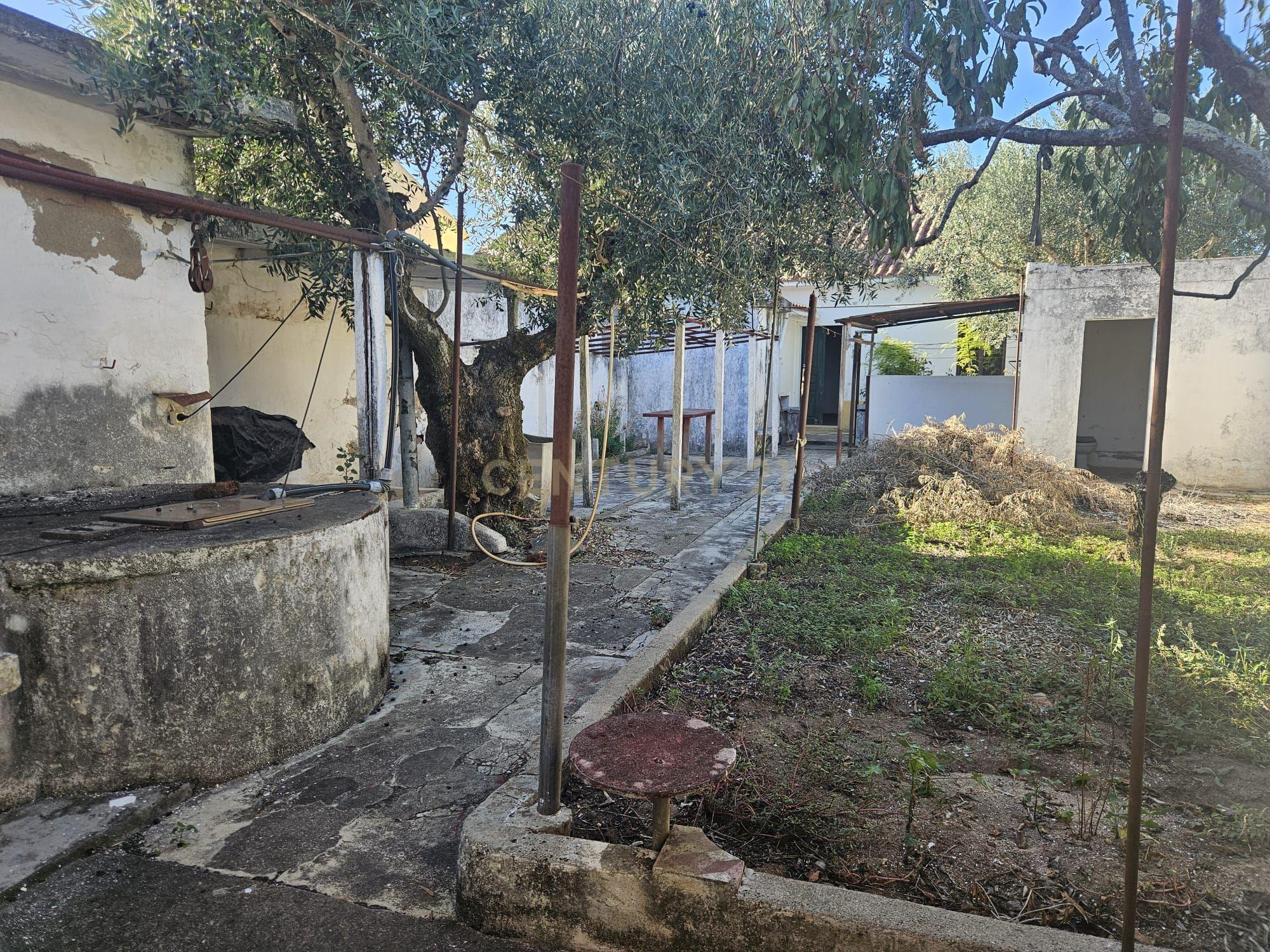 Moradia T4 à venda em Atalaia, Vila Nova da Barquinha — foto 17