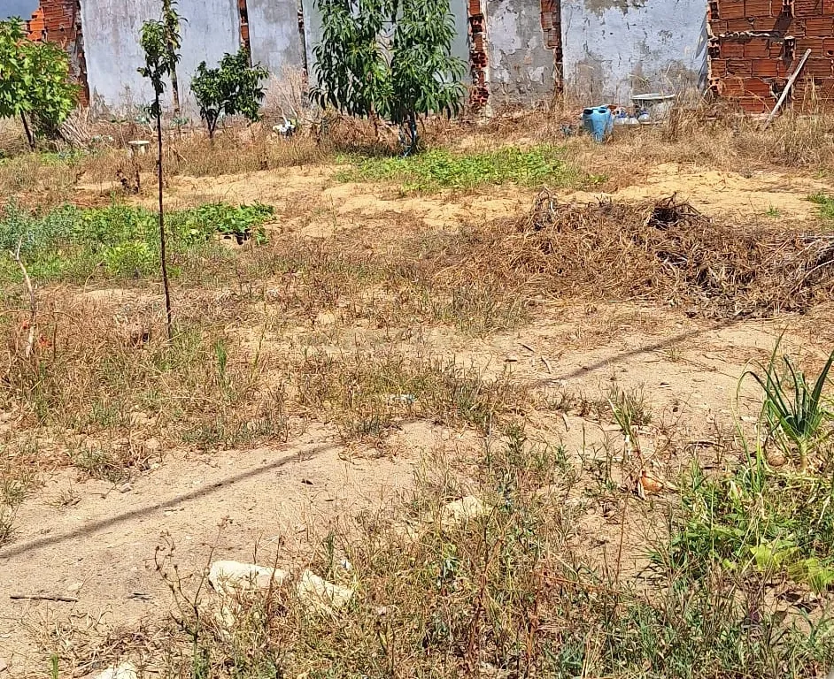 Lote de Terreno - Charneca da Caparica – Excelente Localização - Image 7