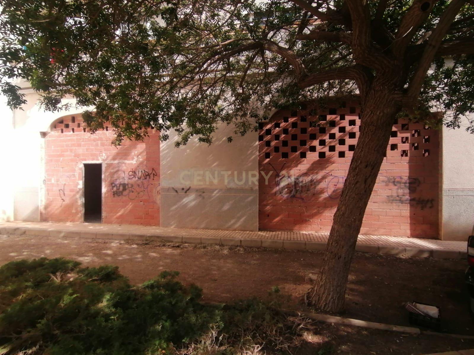 - Image 15