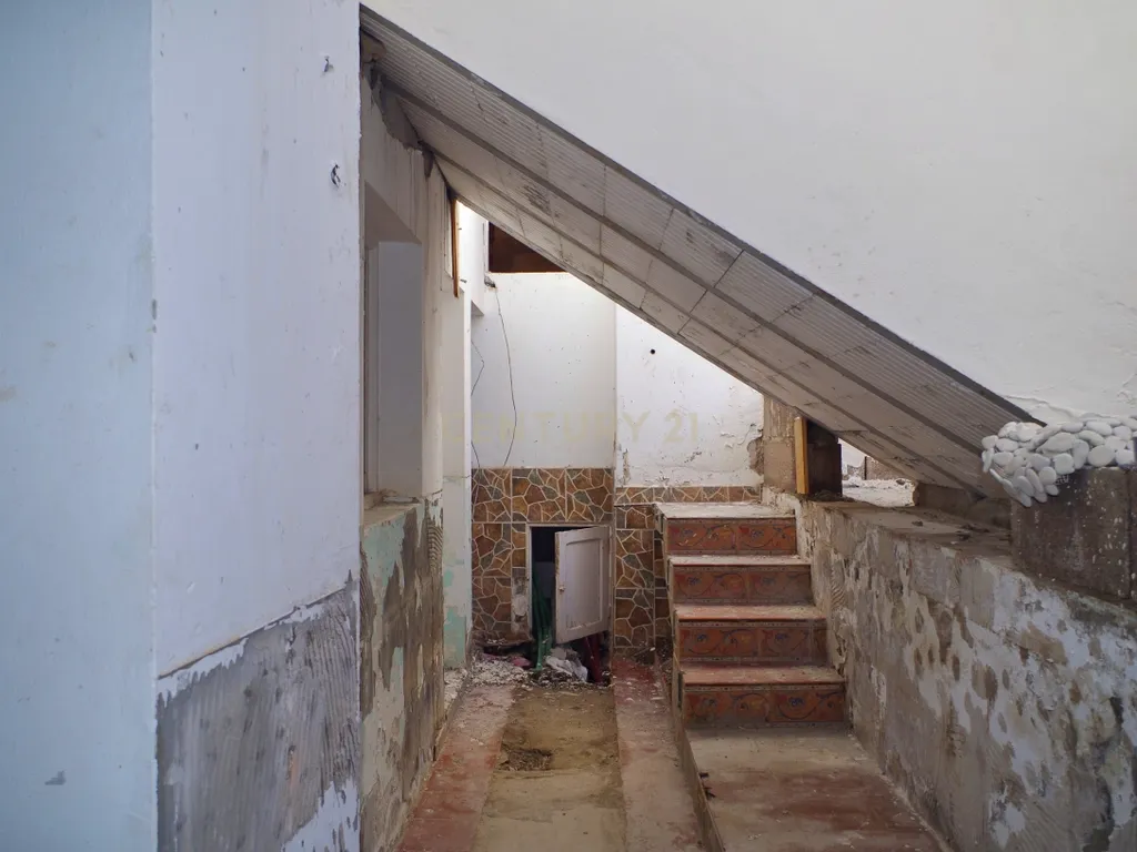 - Image 15