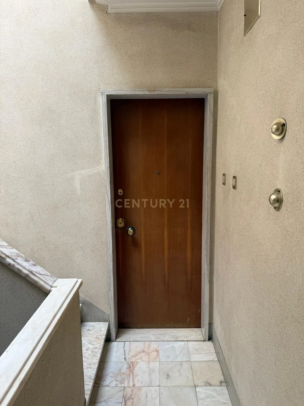 T2 Ameixoeira, para remodelação - Image 9