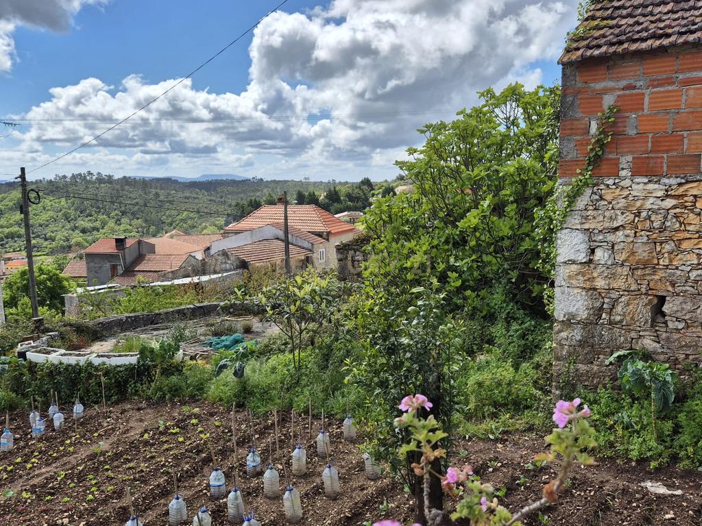 Oportunidade Única - Refúgio com vista para a Serra de Sicó, em Cotas, Pombalinho.  - Image 29