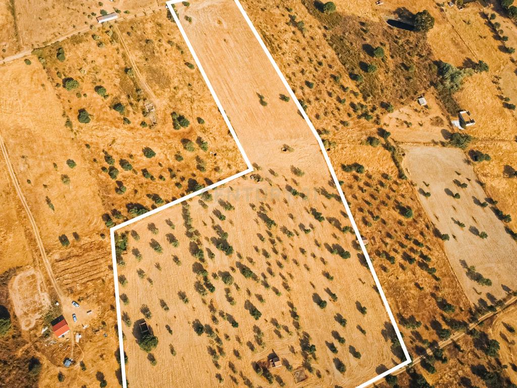 Propriedade rústica com potencial agrícola, habitacional e turístico – 3,12 hectares – Nisa - Image 20