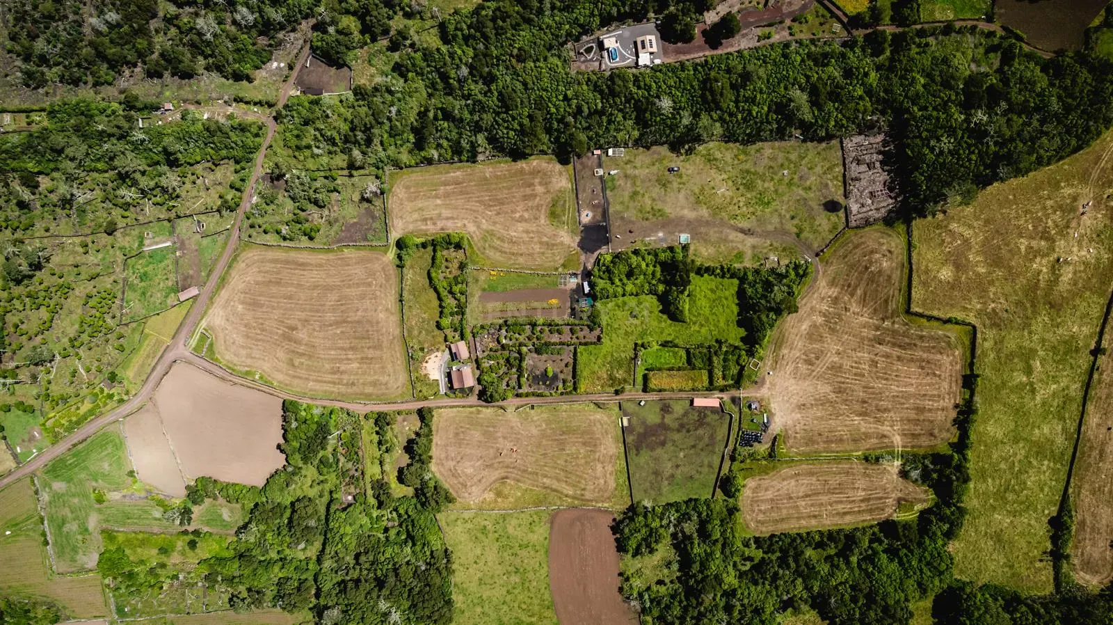 Fotografia 6 de Terreno à Venda na Madalena, Ilha do Pico - 43.000m²