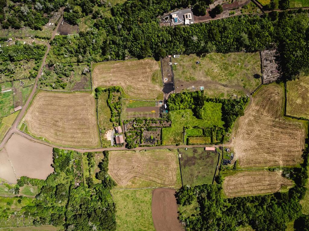 Terreno à Venda na Madalena, Ilha do Pico - 43.000m² - Image 6