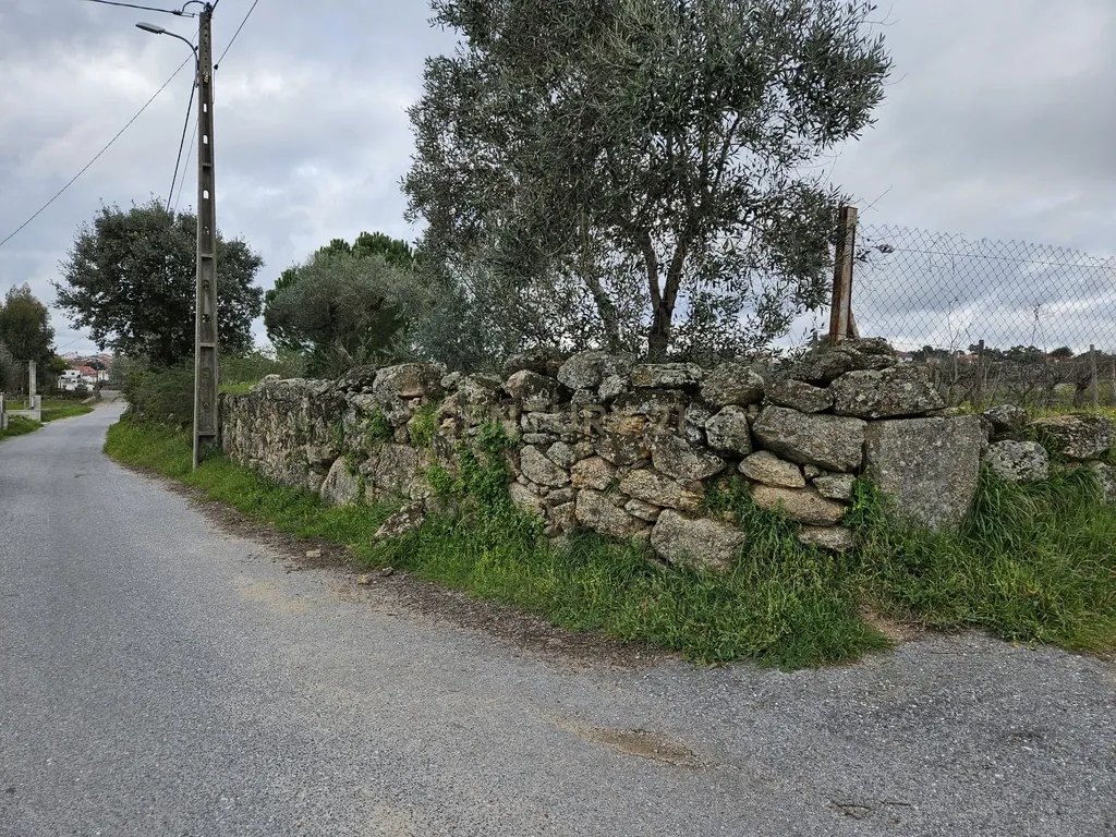 Quintinha na Lousa, Castelo Branco - Image 37