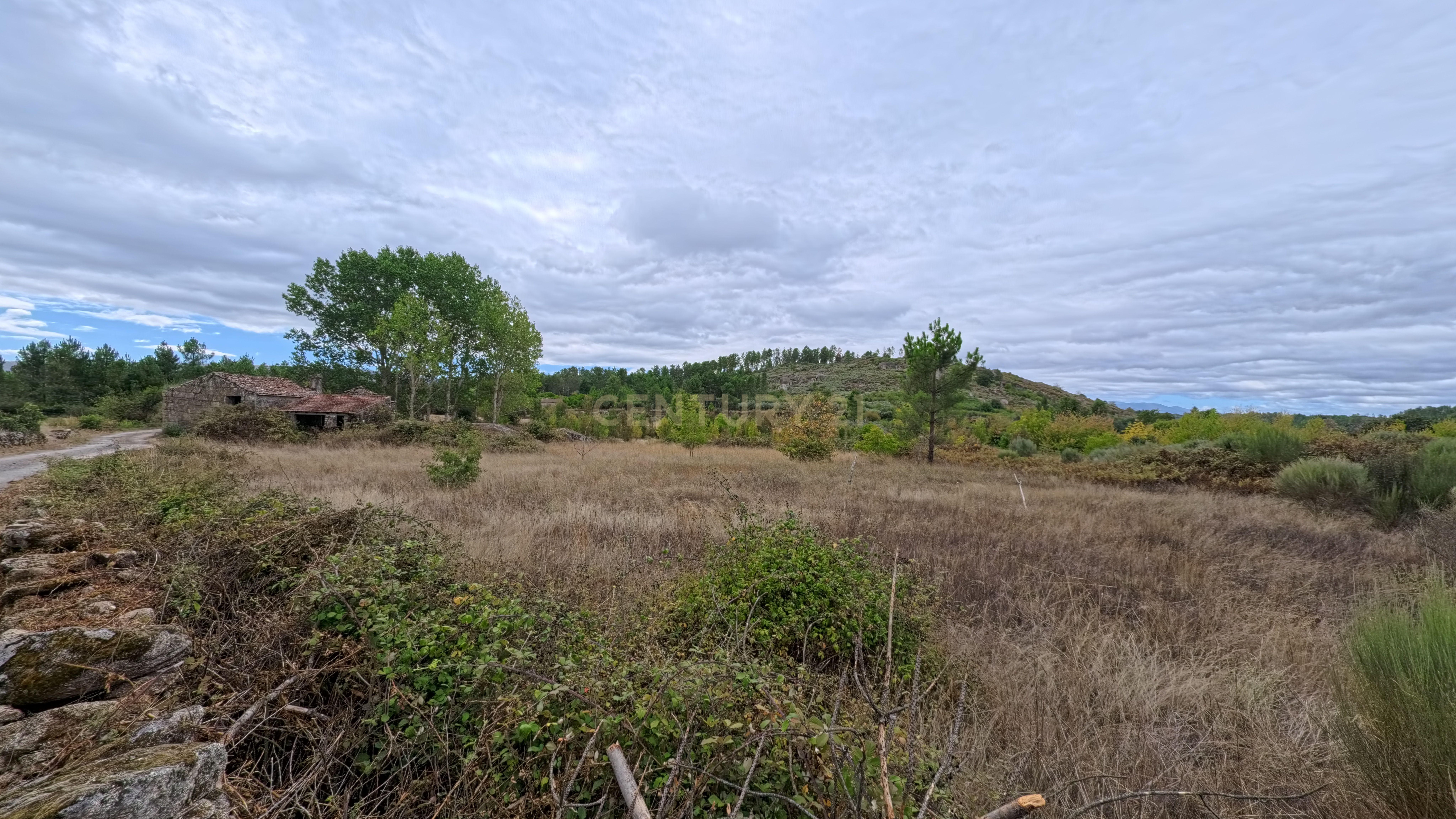 Fotografia 6 de Quinta com 37.000 m² e casa de pedra em Figueiró da Granja - Fornos de Algodres