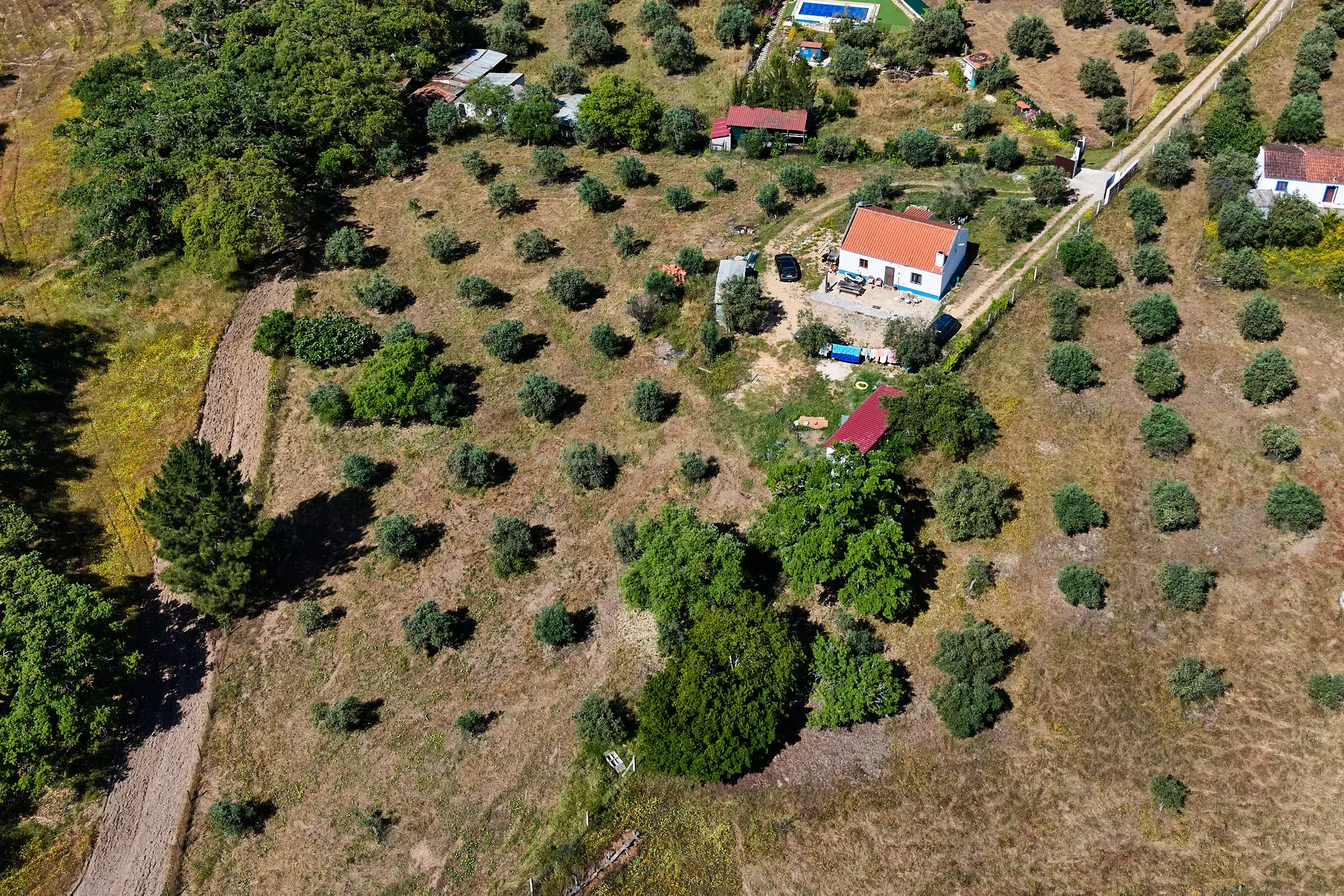 Viva o autêntico Alentejo – Seu refúgio em Ermidas do Sado - Cova do Gato espera por si - Image 32