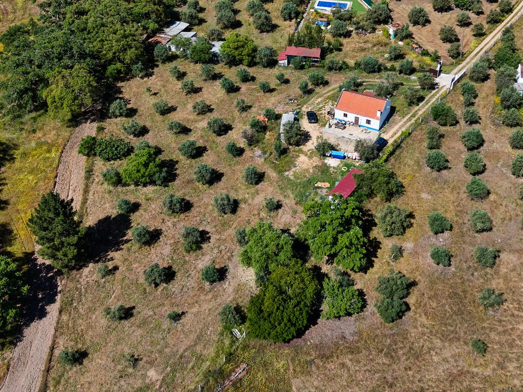 Viva o autêntico Alentejo – Seu refúgio em Ermidas do Sado - Cova do Gato espera por si - Image 32