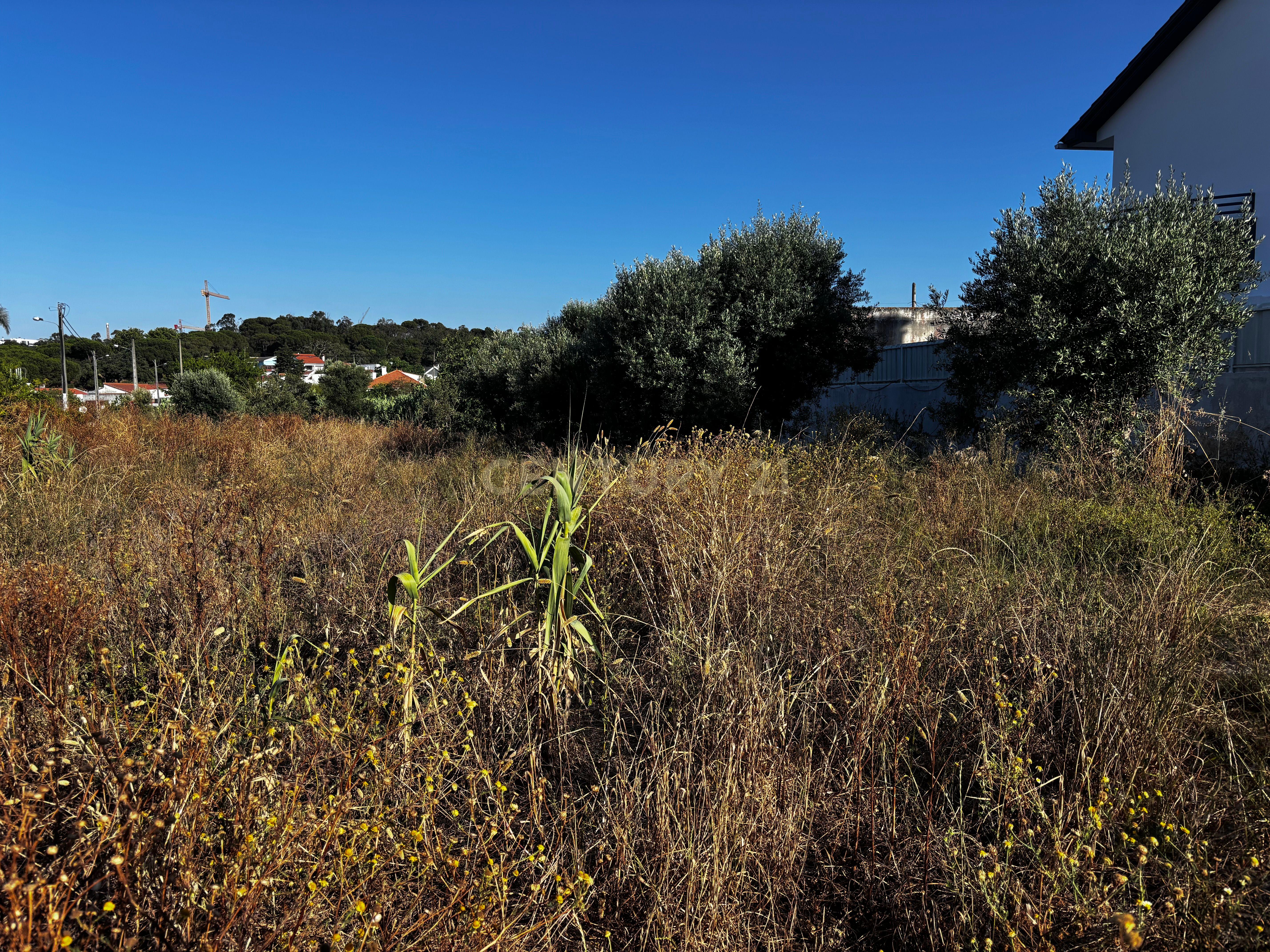 Fotografia 6 de Fantástico Terreno Vale Figueira - Sobreda 2400m²