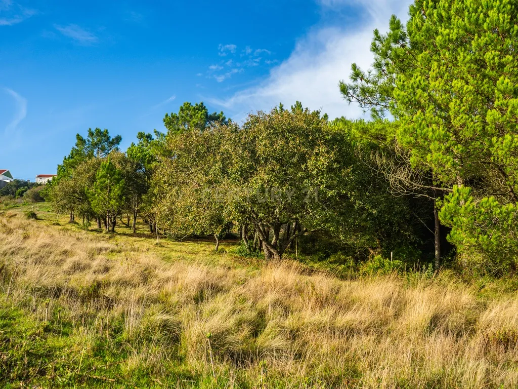 Terreno na Nazaré - Image 10