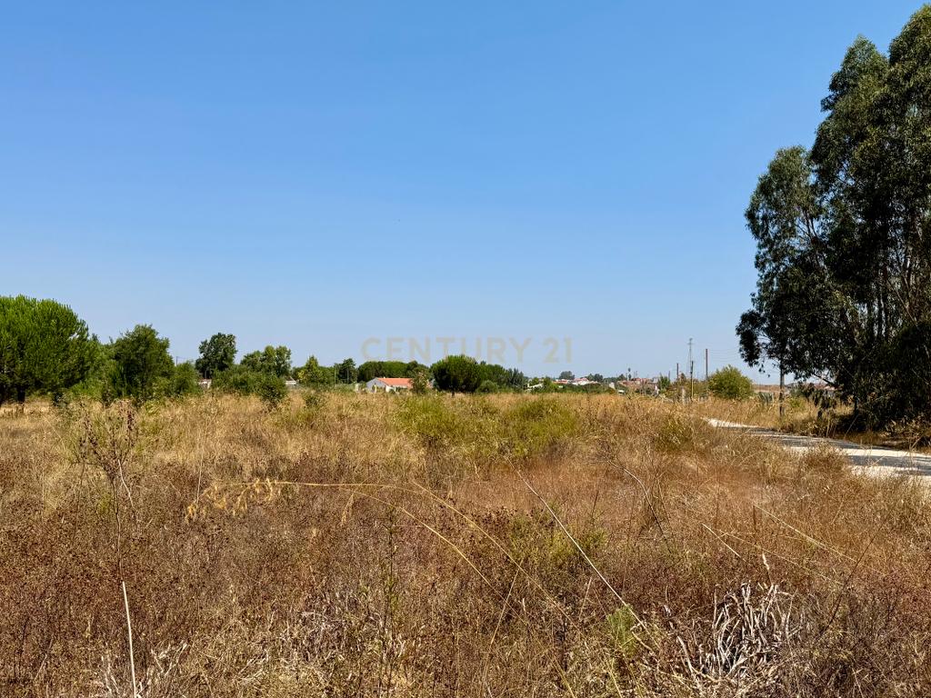 Terreno com 94.000 m2 na zona do Novo Aeroporto de Lisboa, Santo Estêvão, Benavente. Em venda! - Image 11