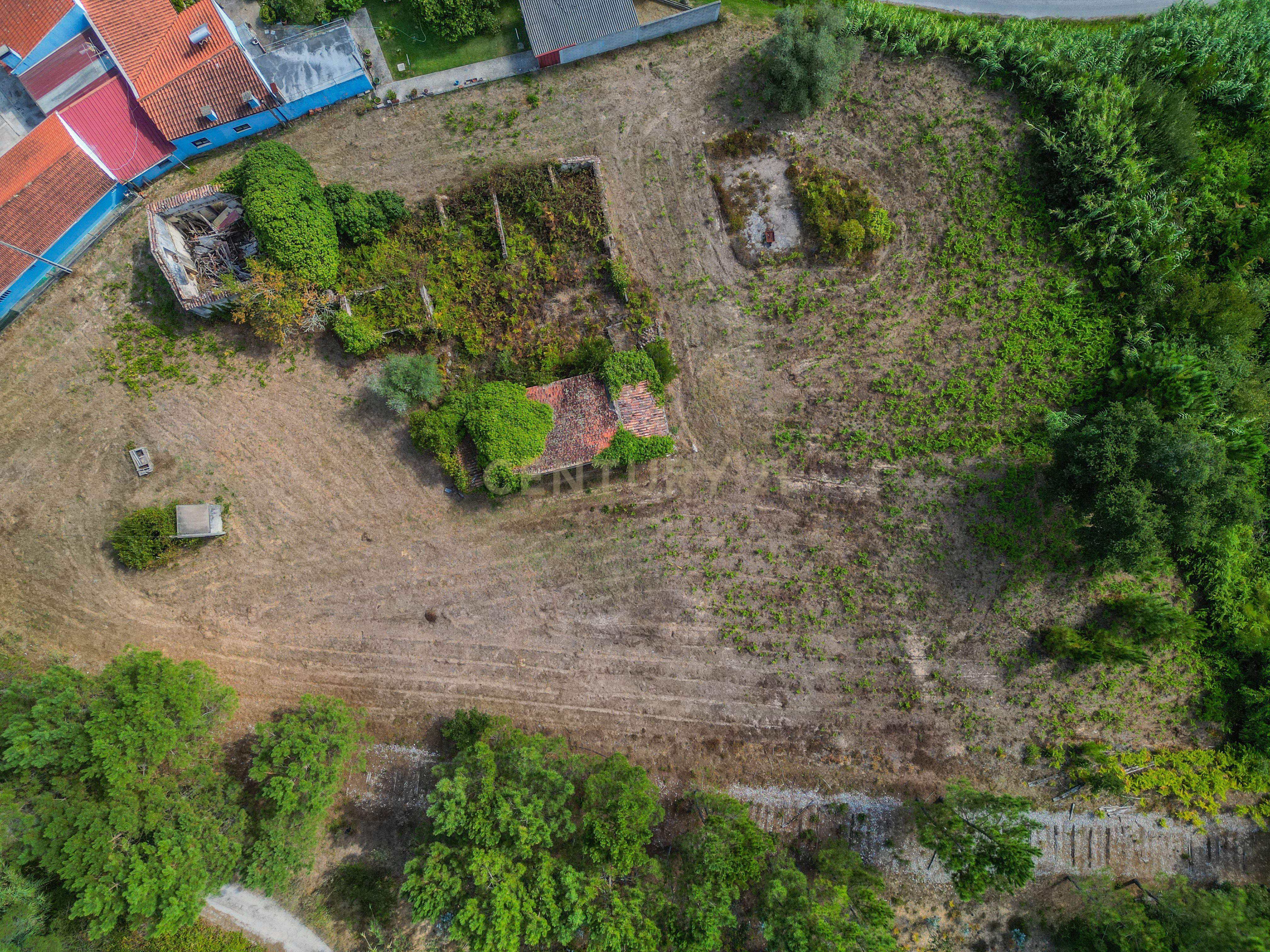 Fotografia 12 de Propriedade com duas casas para reabilitar, terreno e poço na Costeira – Figueira da Foz