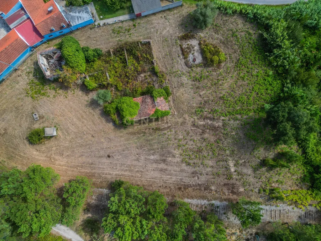 Propriedade com duas casas para reabilitar, terreno e poço na Costeira – Figueira da Foz - Image 12