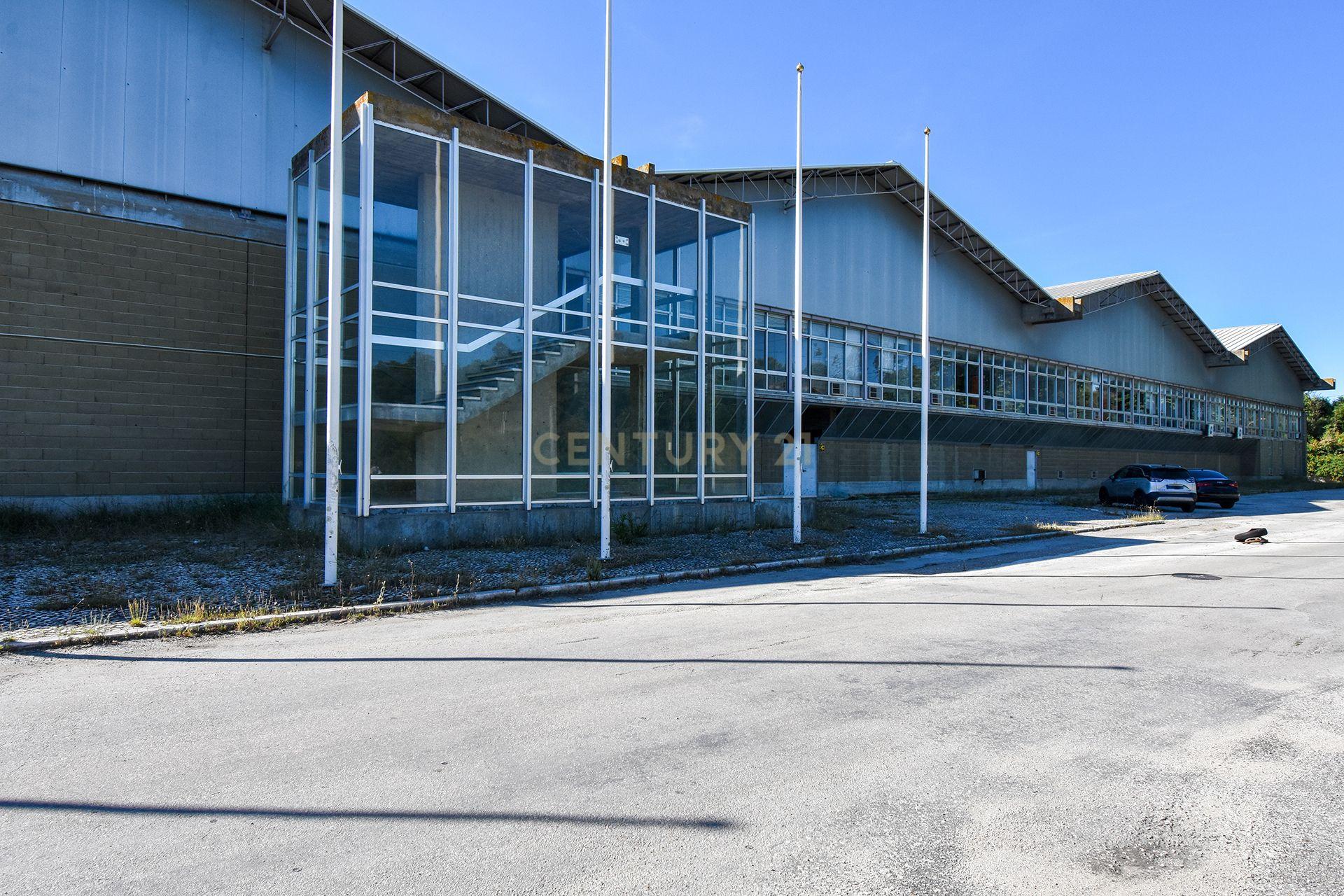 Armazém 10.000m2 Setúbal - Image 2