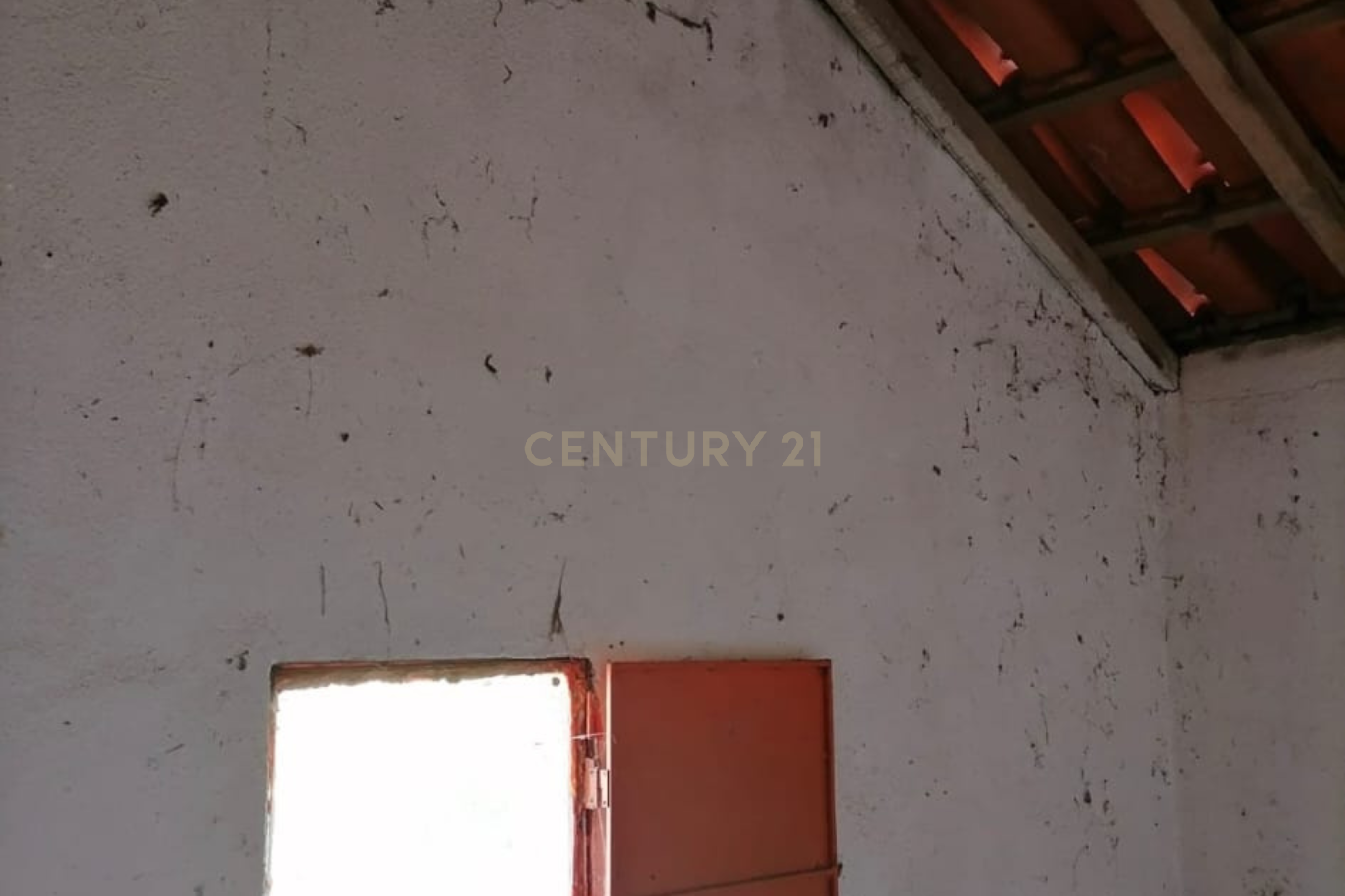 Fotografia 3 de Terreno Agrícola em Gavião, Portalegre - 2500m² com casa