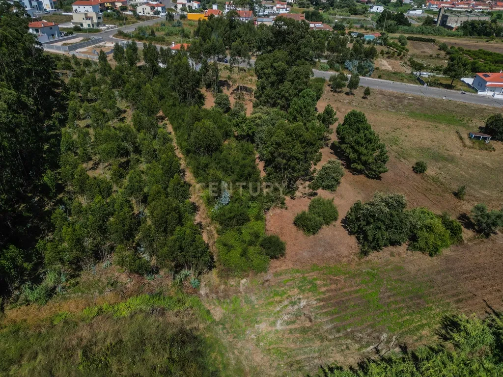 Terreno para investimento em Lavos, Figueira da Foz apenas a 5km da praia - Image 12