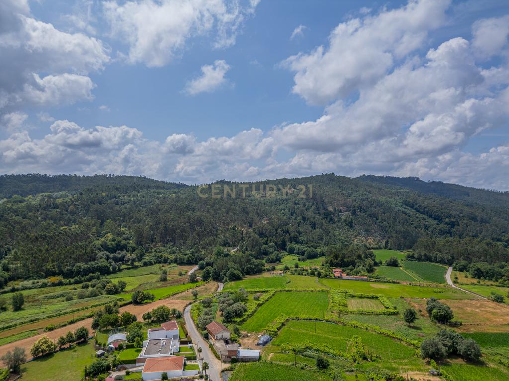 Casa para Recuperação em Braga com Terreno de 5000m² - Image 7