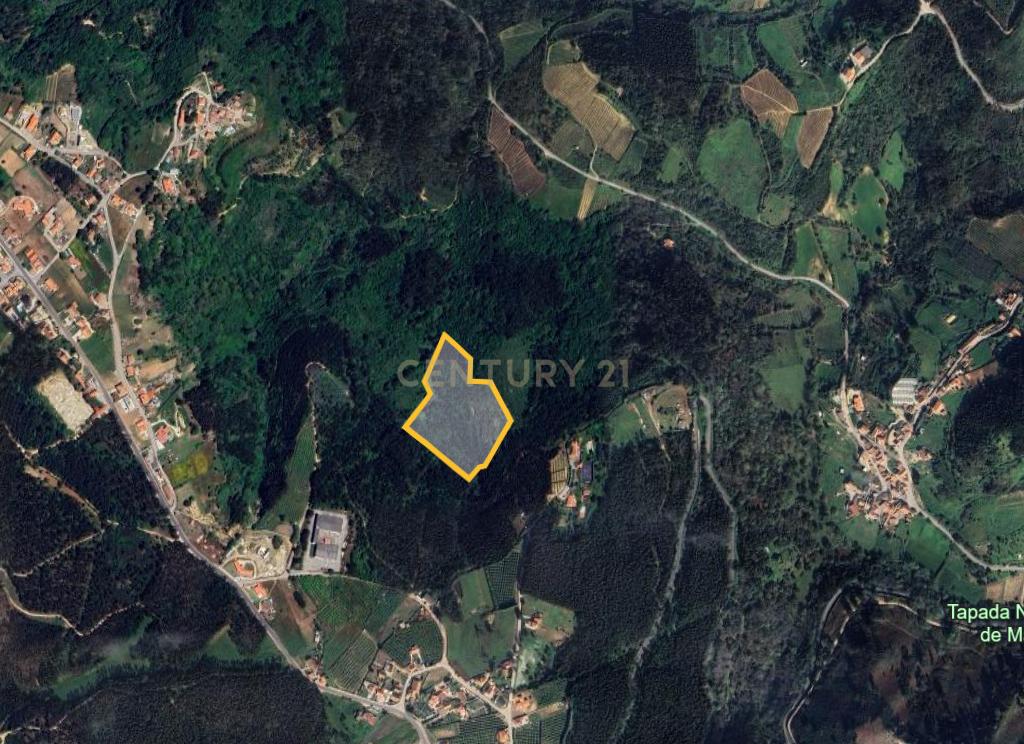 Terreno Rústico - Mafra (Poço da Serra) - Image 12