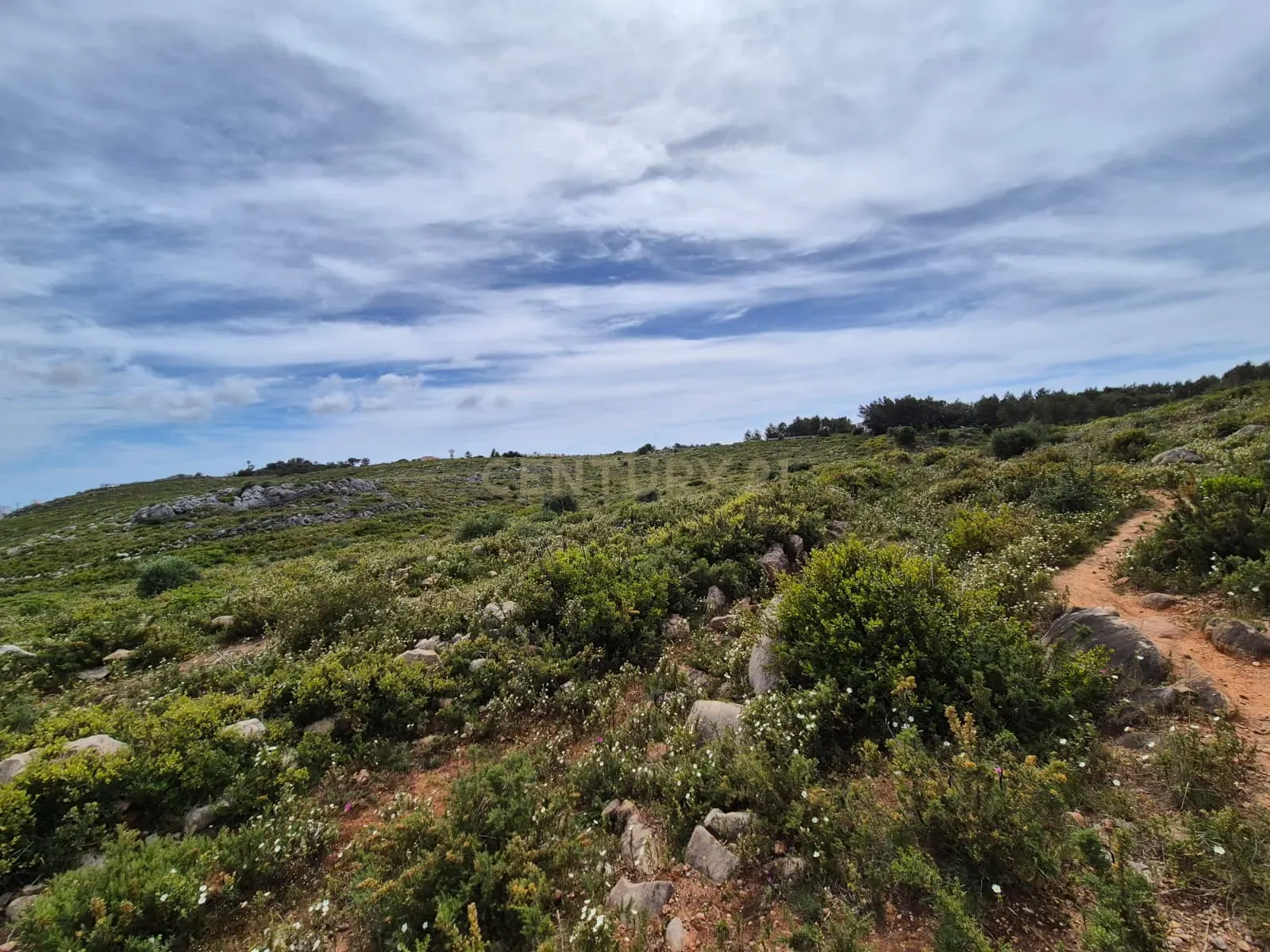 Fotografia 11 de Terreno Rústico com 20.000 m² em Murches, Cascais – Vista Serra de Sintra e Potencial Construção