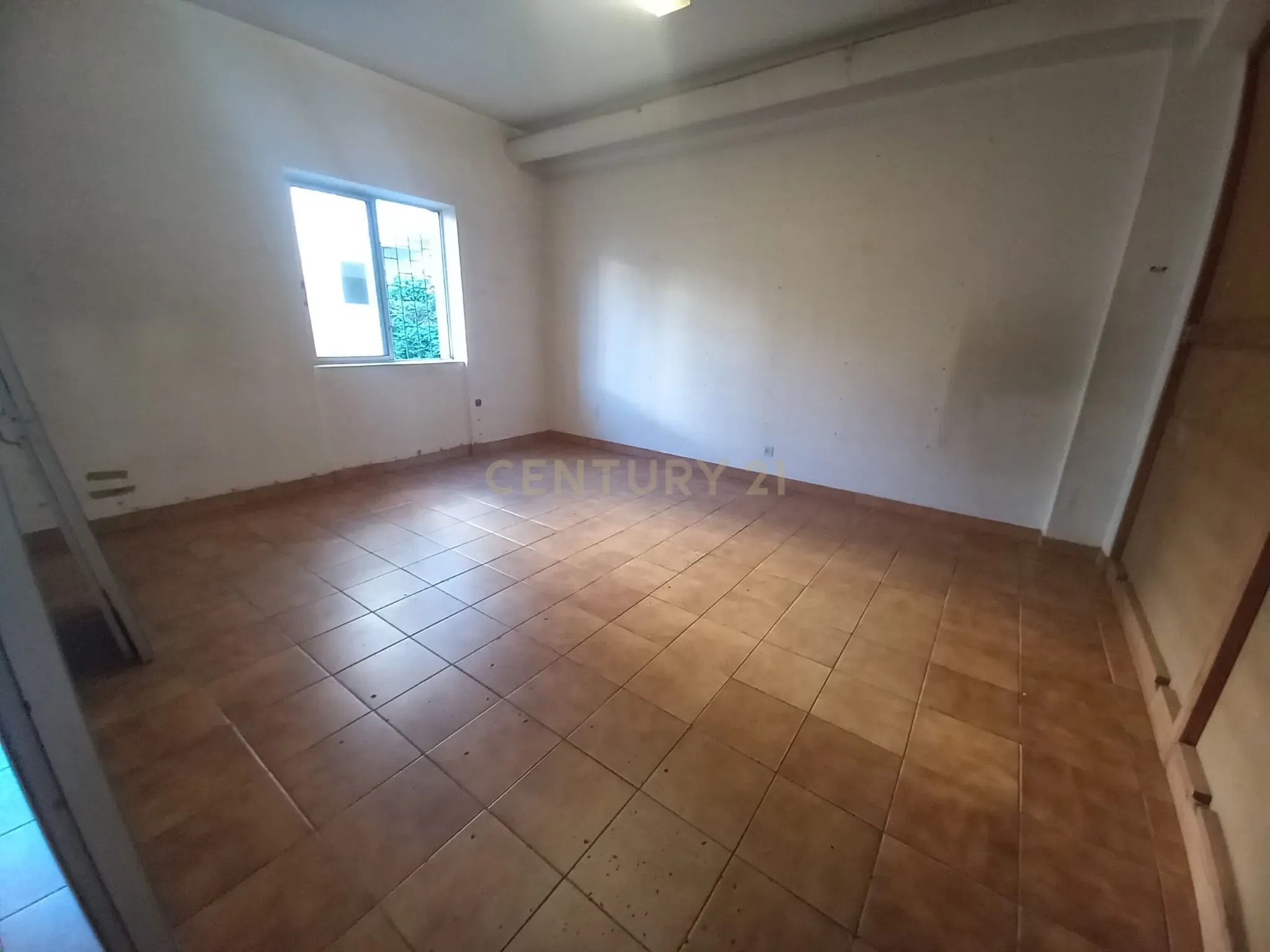 Fotografia 7 de Espaço comercial em Castelo Branco - Oportunidade Única!