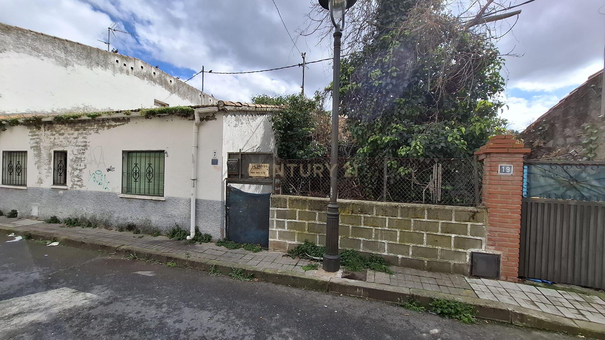 Terreno - Image 19