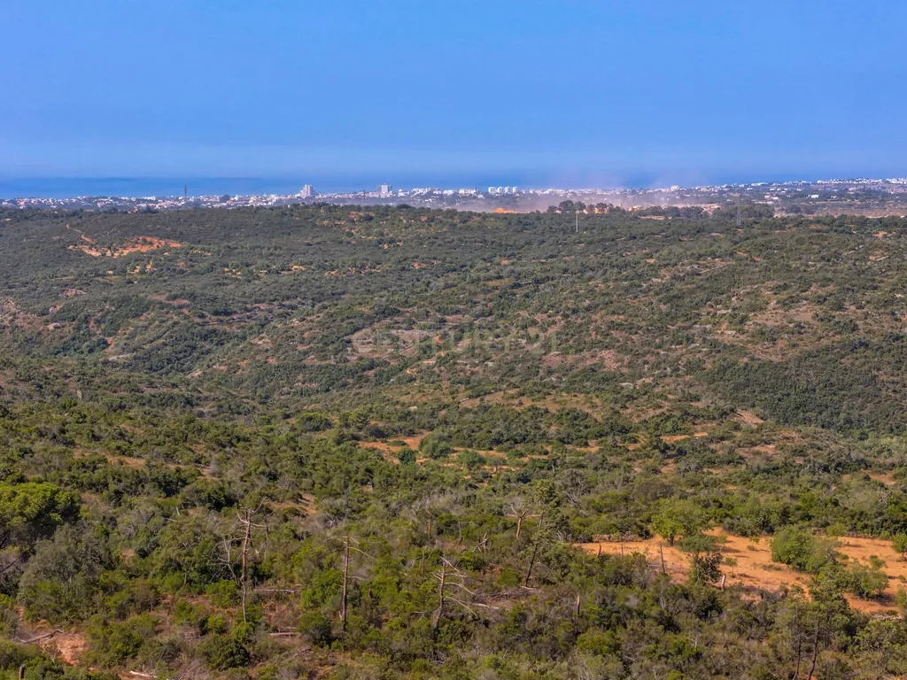 Terreno 55 880m2 | Paderne | Albufeira - Image 13