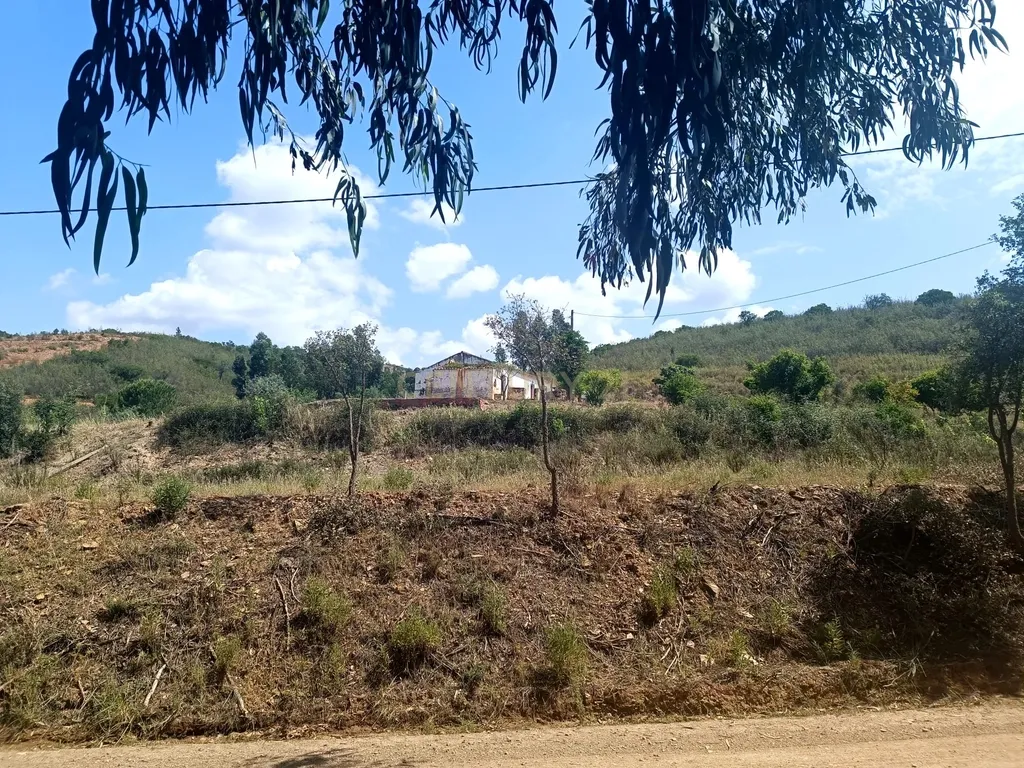 Terreno Misto com 3,66HA - Perna Seca - S. B. Messines - Image 19