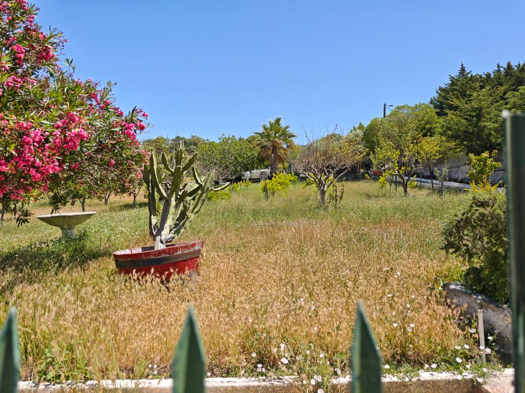 Moradia T4 em Quinta de 1950 com piscina e terra fértil - Image 21