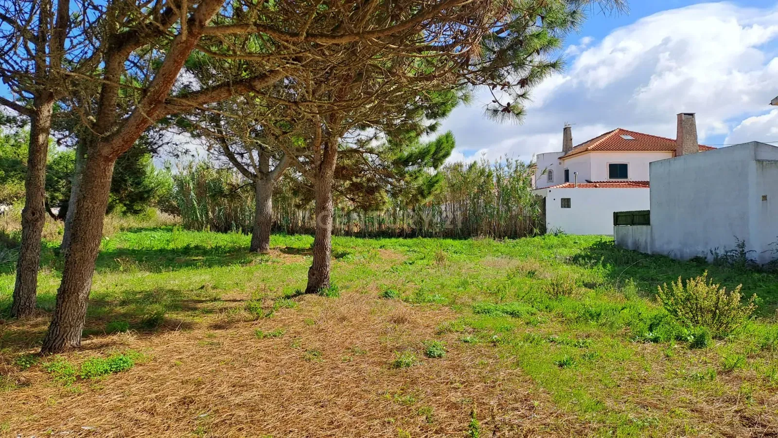 Lote de Terreno Urbano com Vista Mar – Oportunidade Única! - Image 14