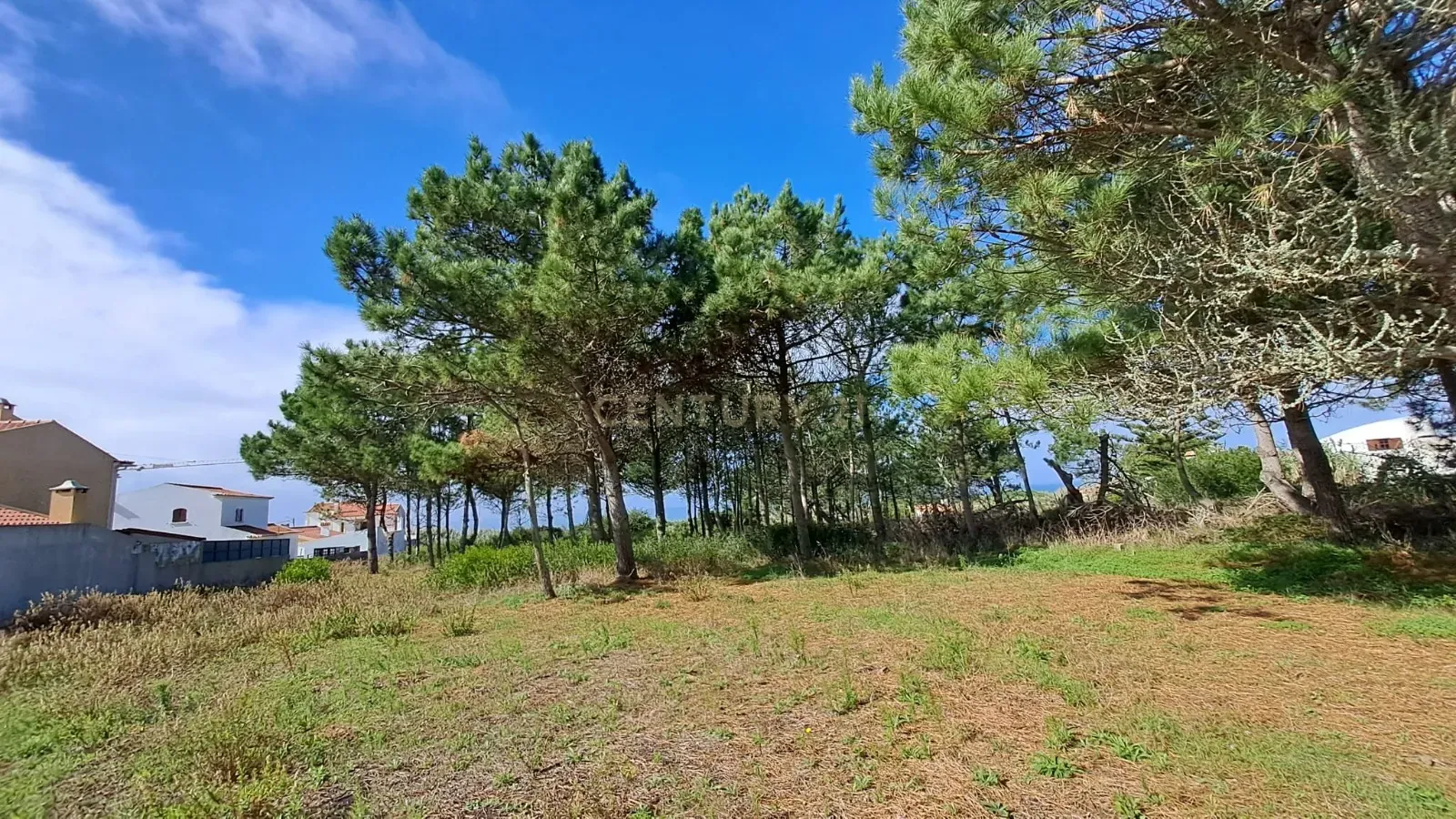 Lote de Terreno Urbano com Vista Mar – Oportunidade Única! - Image 13