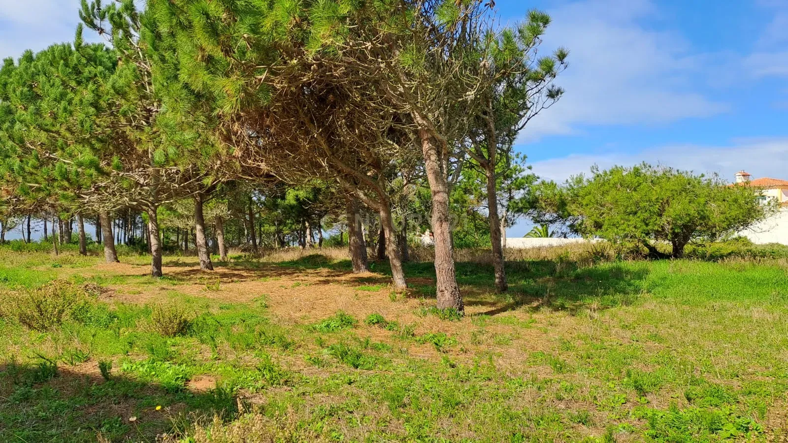 Lote de Terreno Urbano com Vista Mar – Oportunidade Única! - Image 11