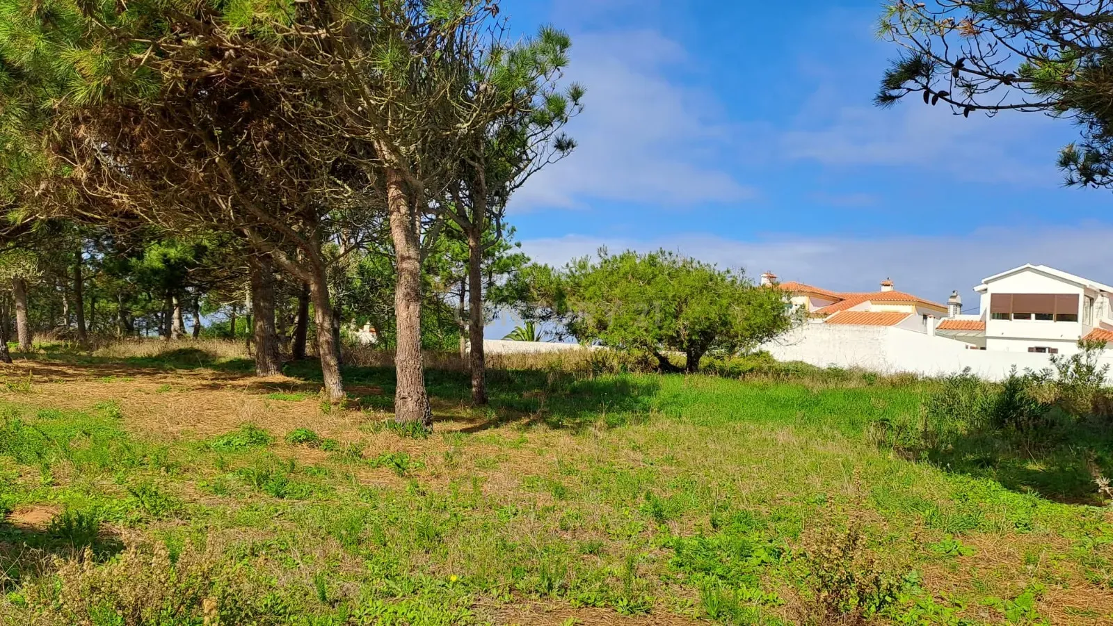 Lote de Terreno Urbano com Vista Mar – Oportunidade Única! - Image 5