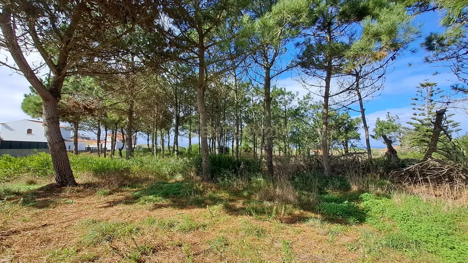 Lote de Terreno Urbano com Vista Mar – Oportunidade Única! - Image 10