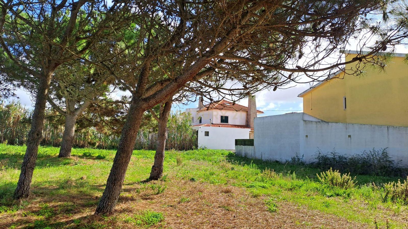 Lote de Terreno Urbano com Vista Mar – Oportunidade Única! - Image 9