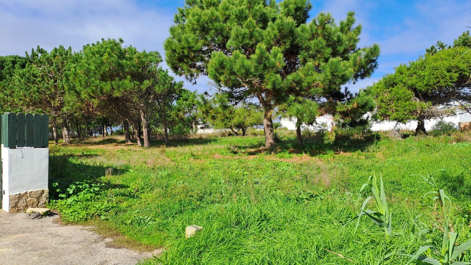 Lote de Terreno Urbano com Vista Mar – Oportunidade Única! - Image 1