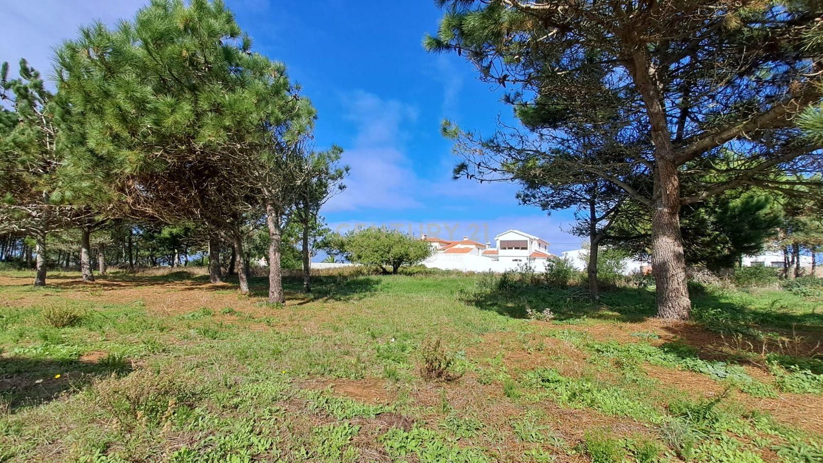 Lote de Terreno Urbano com Vista Mar – Oportunidade Única! - Image 12