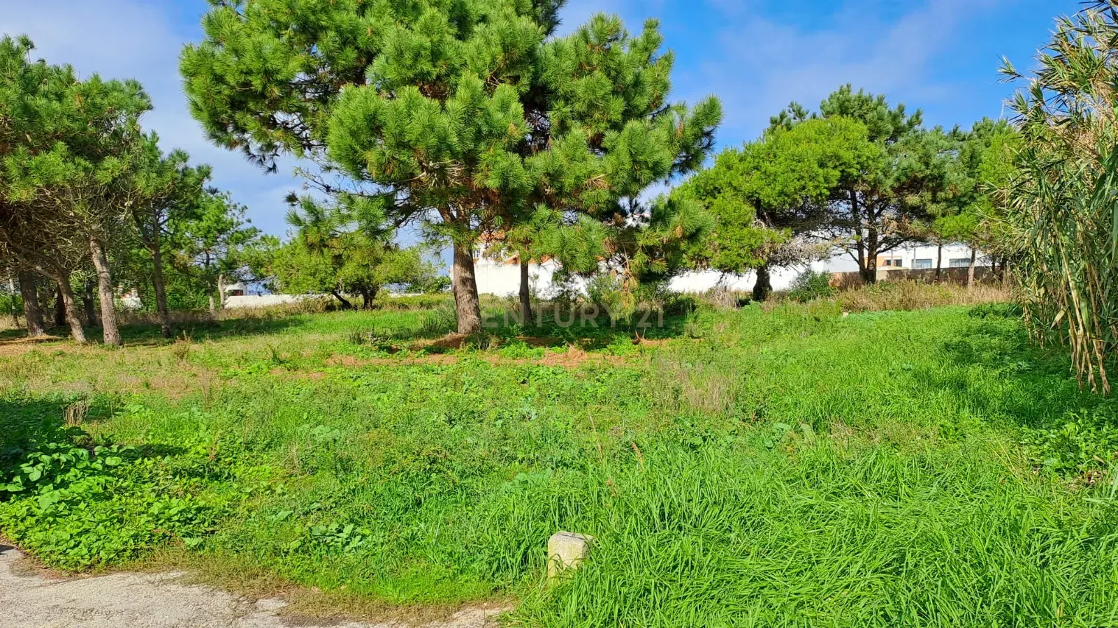 Lote de Terreno Urbano com Vista Mar – Oportunidade Única! - Image 2