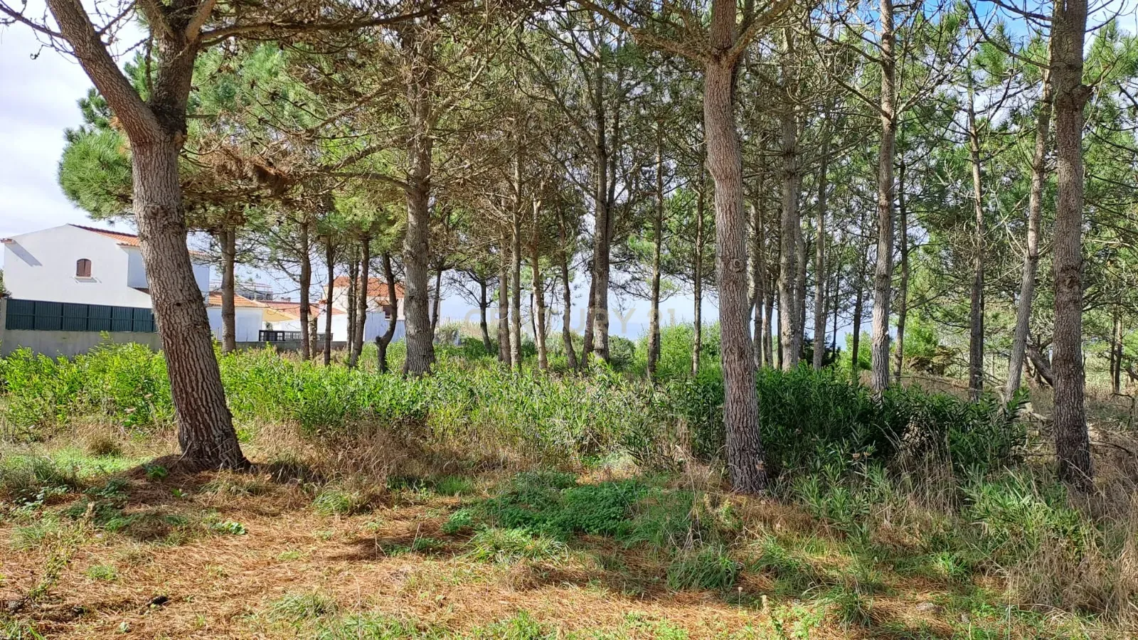 Lote de Terreno Urbano com Vista Mar – Oportunidade Única! - Image 7