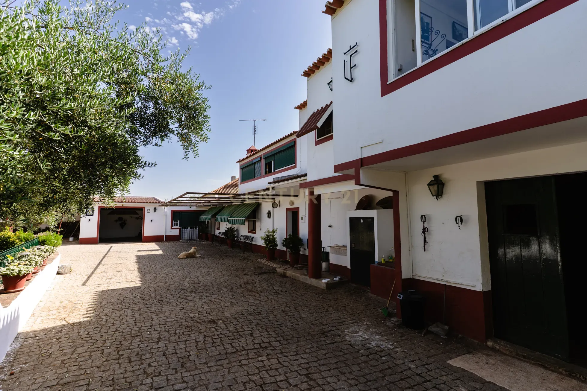 Fotografia 4 de Quinta em  São Brás e São Lourenço