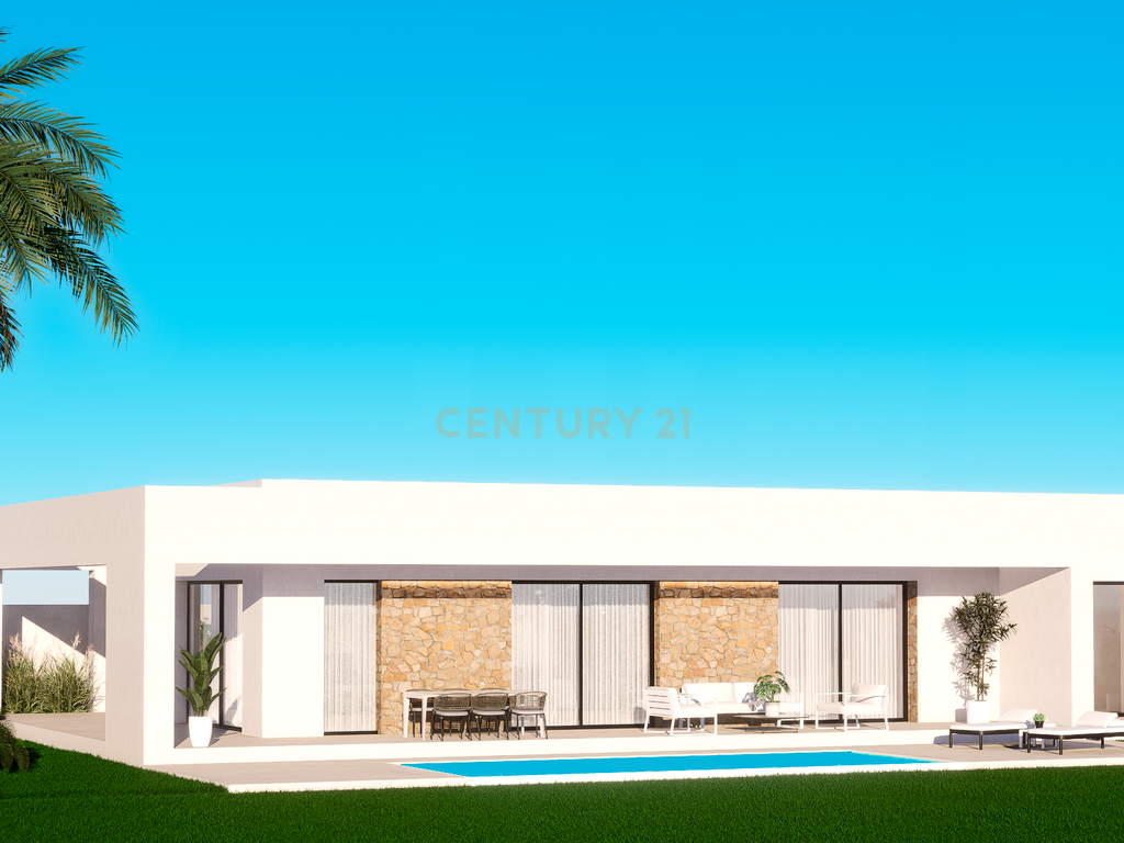  - Image 4