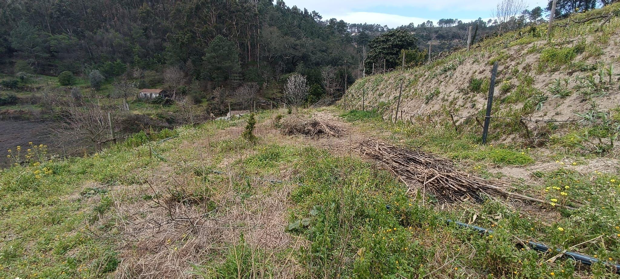 Terreno agrícola com àgua e viabilidade de construção em Granja, S. Tomé de Covelas, Baião, perto do do rio Douro, Porto - Image 35