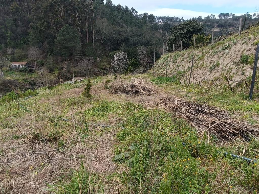 Casa com terreno de construção e agrícola perto do rio Douro em Granja, S. Tomé de Covelas, Baião, Porto - Image 33
