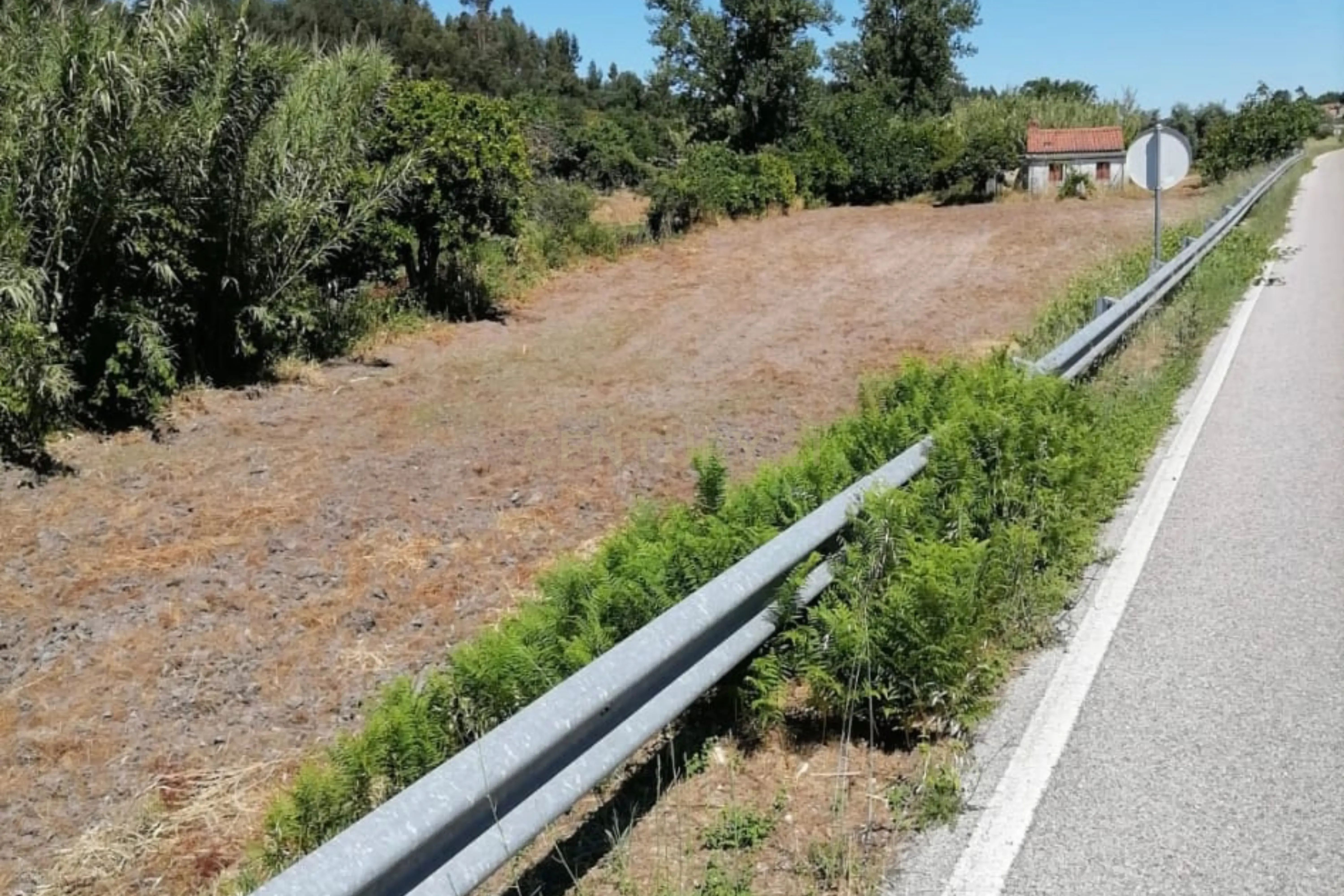 Fotografia 10 de Terreno Agrícola em Gavião, Portalegre - 2500m² com casa