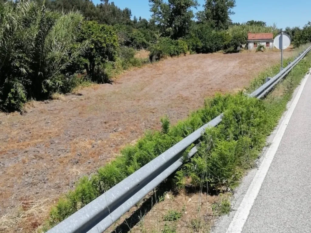 Terreno Agrícola em Gavião, Portalegre - 2500m² com casa - Image 10